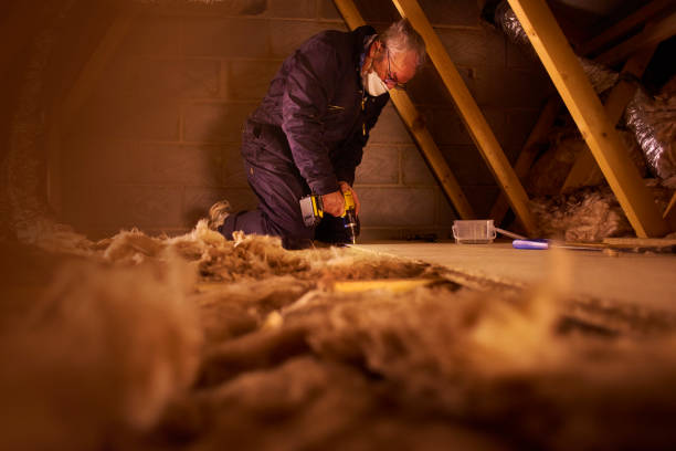 Best Commercial Insulation in Dillonvale, OH